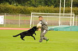 Artus vom grauen Ma-Holt