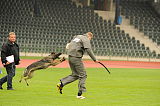 Bella vom dunklen Zwinger