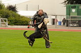 O'Dark vom Grauen Teufel