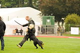 Brando vom Ilsegrund