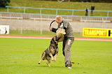 Basco vom wilden Klee
