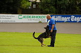 Basco vom wilden Klee