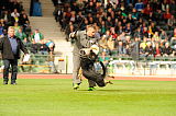 Eddy vom Vilstalgrund