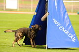 Spike vom Bühlerstein