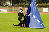 Gigant vom Friedrichsfelder Eck