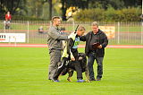 Zico von der Adelegg