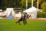 Zico von der Adelegg