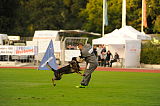 Zico von der Adelegg