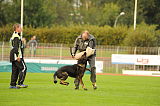 Zico von der Adelegg