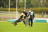 Zico von der Adelegg