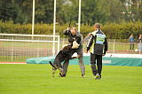 Zico von der Adelegg