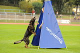 Zico von der Adelegg