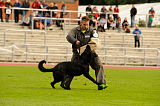 Balko von der Teufelskehle