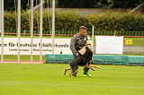 Falco vom Dreilützower Schloß