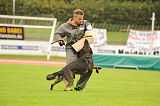 Ary vom Wallensteingraben