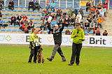 Forta Marko Gero