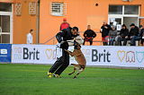 Forta Marko Gero