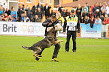 Nederholms Heart van de Flex