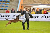 Ager Veranis K-9 Dog Center