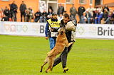 Nelson della Valle Incantata