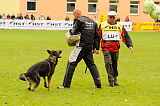 Xanuk vom grauen Star