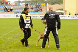 Mecberger Lassie
