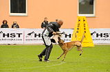 Mecberger Lassie