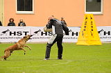 Mecberger Lassie