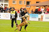 Mecberger Lassie