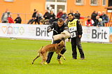Mecberger Lassie
