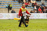 Oliver Val-bella-dog
