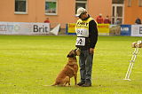 Ray vom Roten Milan