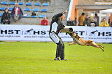 Ray vom Roten Milan