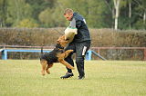 Lulu`s Bolle