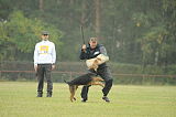 Big Nanouk vom Drachenhort