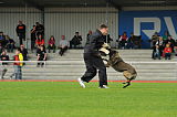 Drago-Balou met Leewenmoed