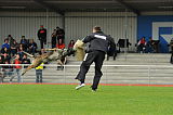 Drago-Balou met Leewenmoed
