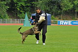 Drago-Balou met Leewenmoed