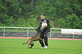 Aico vom Hessenauer Kreuz