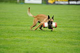 Peaches vom Strengen Winter