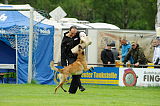 Nanuk vom Further Moor