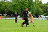 Nanuk vom Further Moor