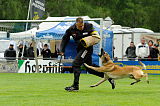 Nanuk vom Further Moor