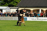 Condor von der Stoapfalz