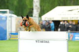 Beau von der Wesenberger Blutbuche