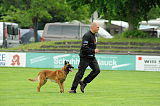 Beau von der Wesenberger Blutbuche