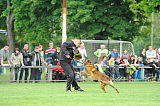 Punk vom Further Moor