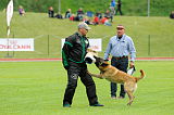 Alan Edin Dvor
