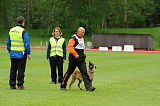 Shywa vom Greifenring