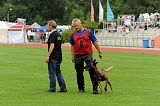 Fred vom Brunsbeker Land